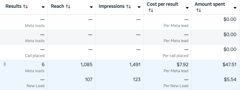 Meta Ads Manager: 6 leads at $7.92 per lead on $47.51 spend