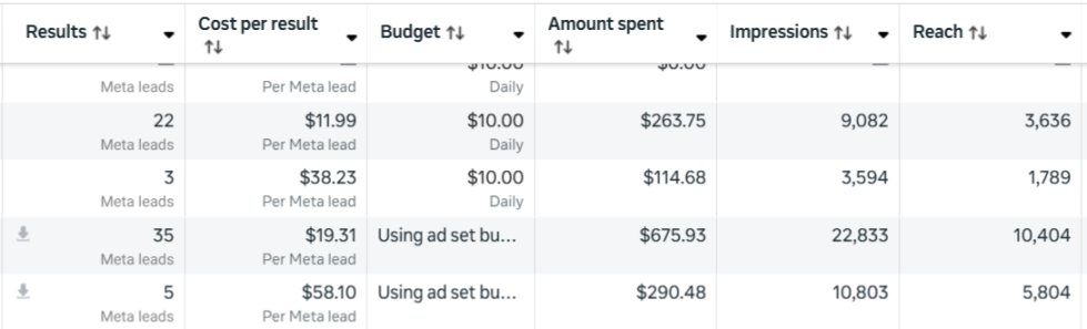 Meta Ads Manager: 22 leads at $11.99 on a $10 daily budget and 35 leads at $19.31
